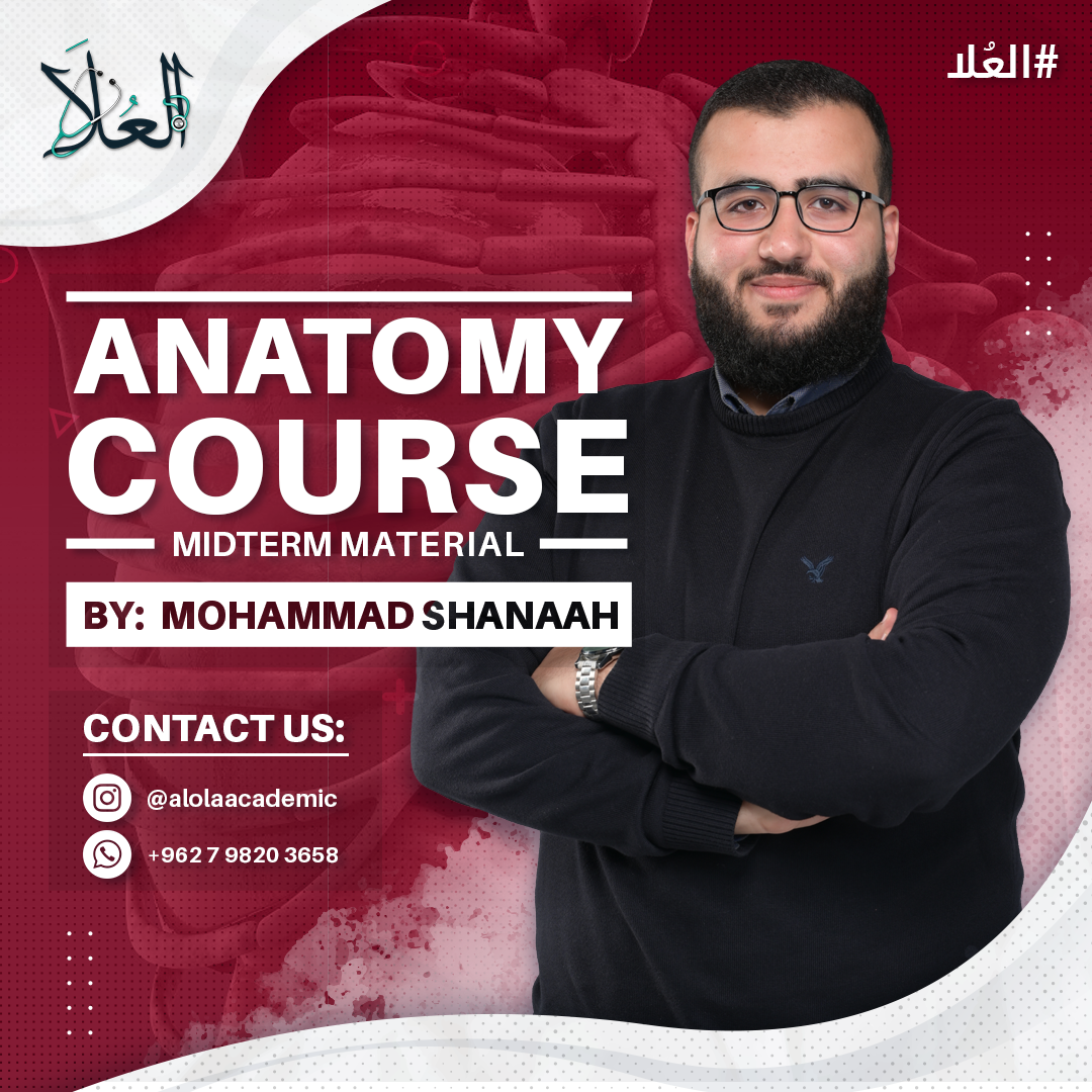 photos/courses/25/Anatomy Shanaah.png